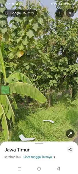 Di Jual Tanah Di Tawar Bisa Sesuai Dengan Harga Pasar