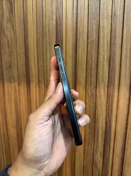 iphone 15 pro max 256