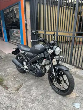 YAMAHA XSR 155 2022