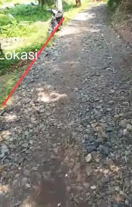 TANAH KEBUN MURAH DAN STRATEGIS DI CIBEUTEUNG UDIK CISEENG BOGOR