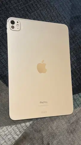 Apple iPad pro M4 512GB 11 inch bonus case