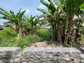 JUAL LELANG TANAH BANJARAGUNG MOJOKERTO P1422 DEKAT PASAR DAN RS