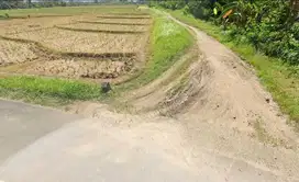 Land Freehold Close To The Beach Tabanan Bali