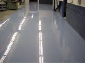 Epoxy Cat Lantai