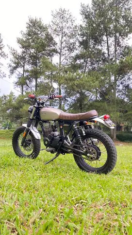 Honda tiger custom