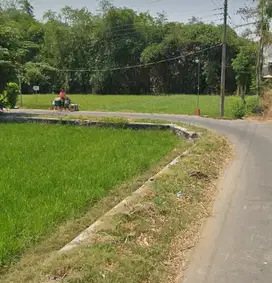 Dijual sawah murah di gawok
