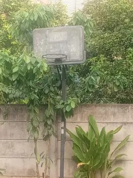Ring Basket Beserta Tiangnya Satu Set Murah