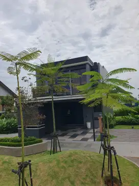 Rumah MEWAH Cluster BLACKSLATE Park Serpong by LippoLand FREE PPN 11%