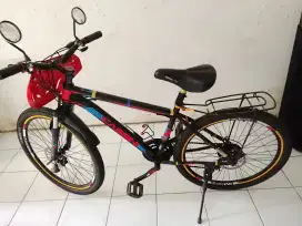 Jual Murah Sepeda Olah Raga Cowok Uk 26