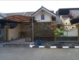 Disewakan Rumah Asri di Perumahan Klipang Green