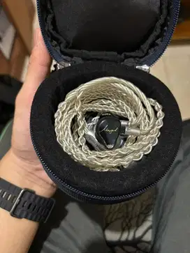 IEM Mangird Tea Pro fully upgraded