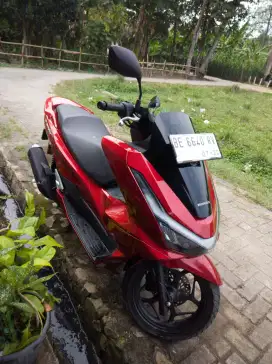 Honda PCX CBS TH 2025 LIKE NEW
