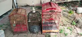 Di jual aja nh 3 burung + sangkarnya