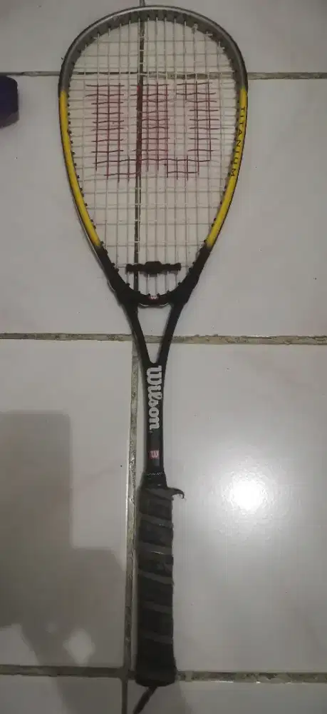 Raket tenis squash wilson titanium bonus sarung