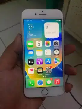 iPhone 8 256gb inter