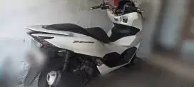 PCX 2023 CBS PUTIH