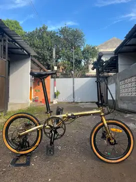 Element Troy Gold 10 Speed jangkrik