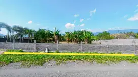 Ju tanah los pantai singaraja