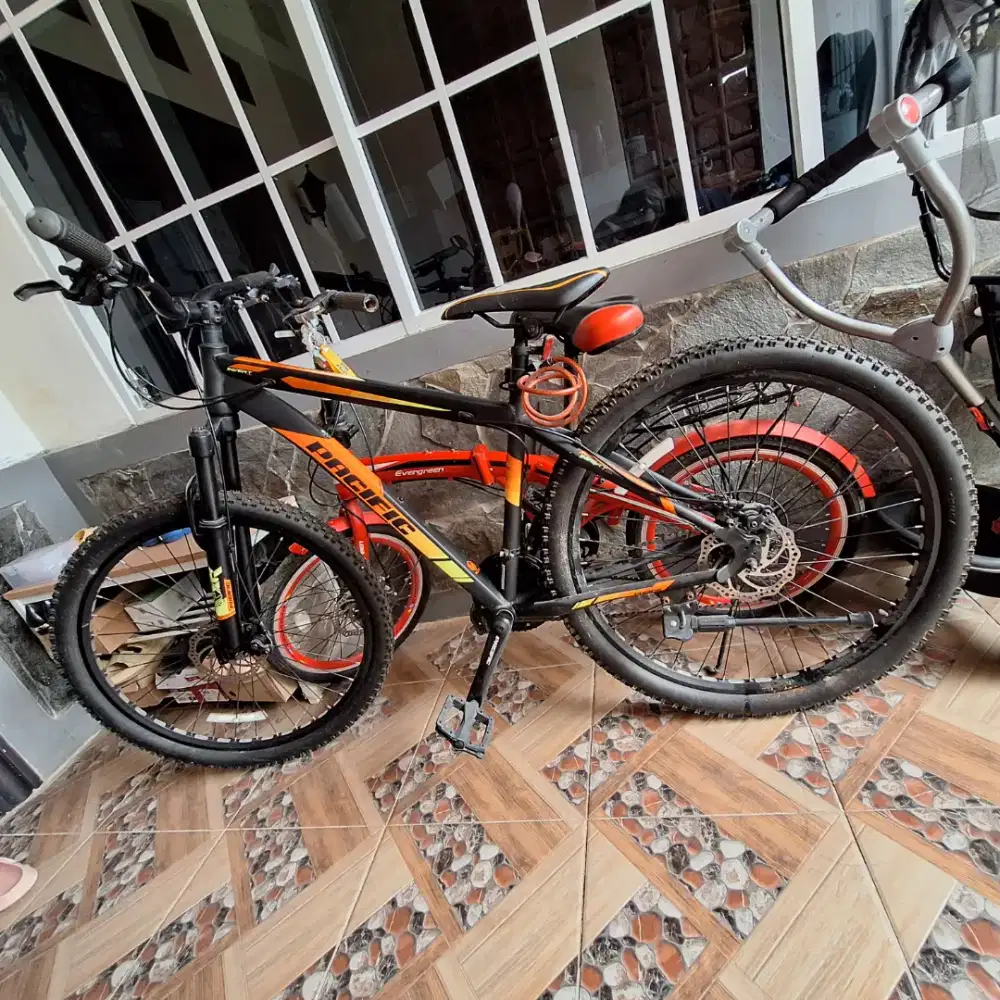 Sepeda Gunung_Mountain Bike_Pacific Invert M100