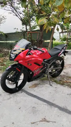 Ninja new RR 2013