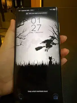 Samsung S22 Ultra wifi only