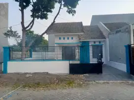 Rumah Di kontrakkan