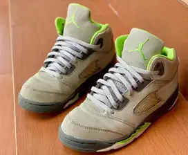 Air Jordan 5 Green Bean SE