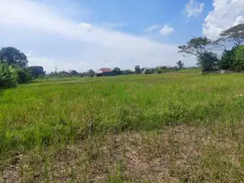Dijual Tanah Sawah Murah Meriah