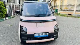 Wuling airev long range 300