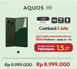 Sharp Aquos R9 12/256 Segel Box