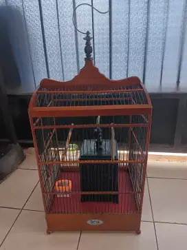 Kandang No 2 + tempat jangkrik nego halus