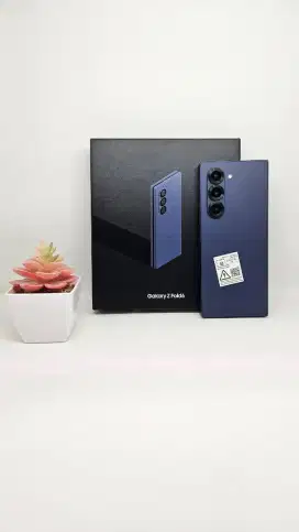 Samsung Z Fold 6 12/256 [Navy]

SEIN