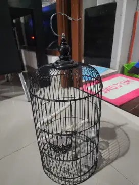 Sangkar Burung Preloved
