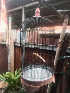 Kandang lovebird/kenari