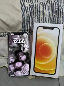 Iphone 12 128gb secc