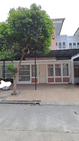 Disewakan Rumah Di Cluster Florencia Lippo Cikarang
