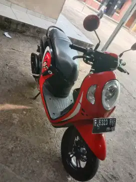 scoopy all new f kab