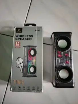 Speaker Lenyes S 220