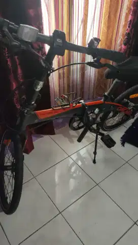 Sepeda dahon ion chicago