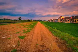 Dekat Pasar Godean Tanah Pingir Sawah Nyaman Untuk Hunian