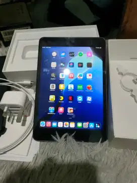 iPad Mini 5 256GB WiFi Only Grey Mulus Normal