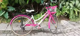 SEPEDA PHOENIX LIKE NEW
