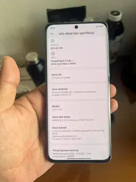 Xiaomi 12 8/256 Gray