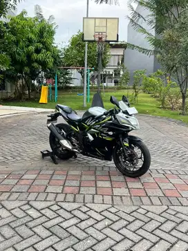 Ninja 250 Mono SL 2019