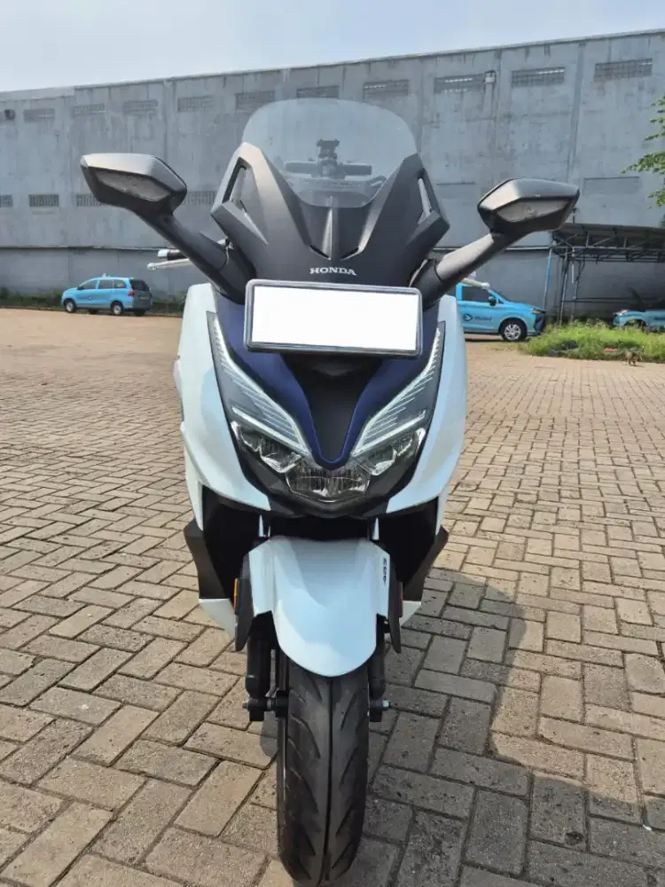 Motor forza 2022 mulus