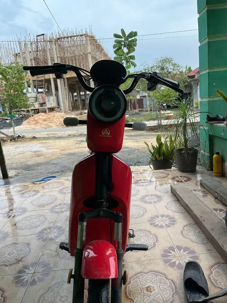 Sepeda Listrik Agathos AE320