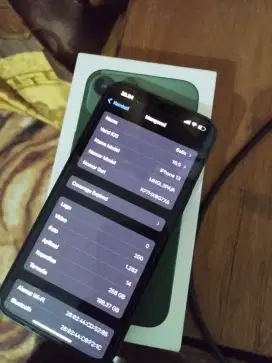 iPhone 13  fulset