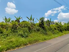 Tanah Murah di Pinggir Jalan Raya Sadeng Bogor