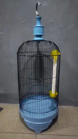 Sangkar LB warna Baru