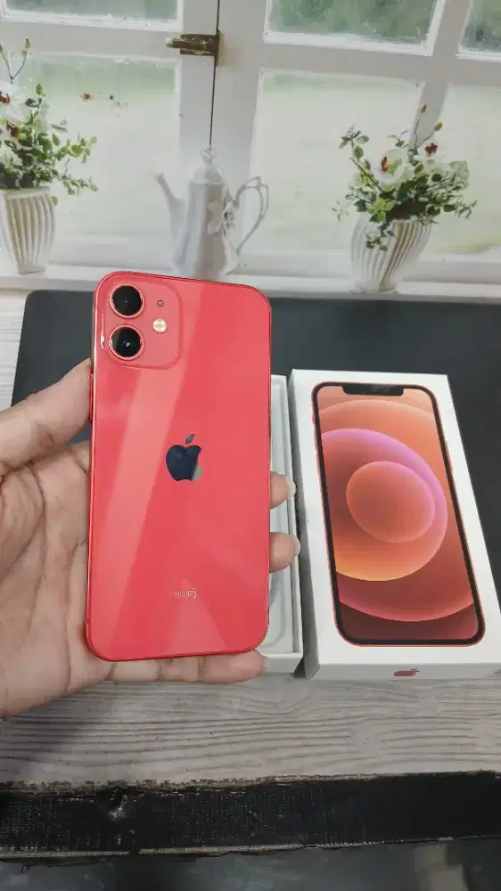 IPhone 12 mini 256Gb Regist